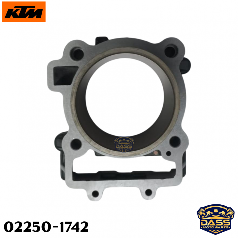 Cylinder Fits For KTM Duke 390 2017-2023 KTM RC 390 2015-2023 KTM Adventure 390 2020-2023 KTM Adventure Rally 390 2023